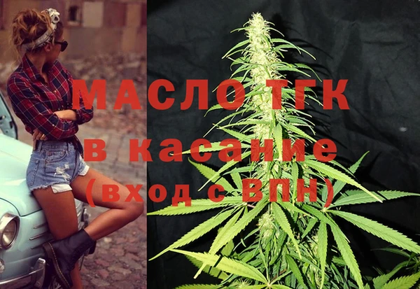индика Барнаул