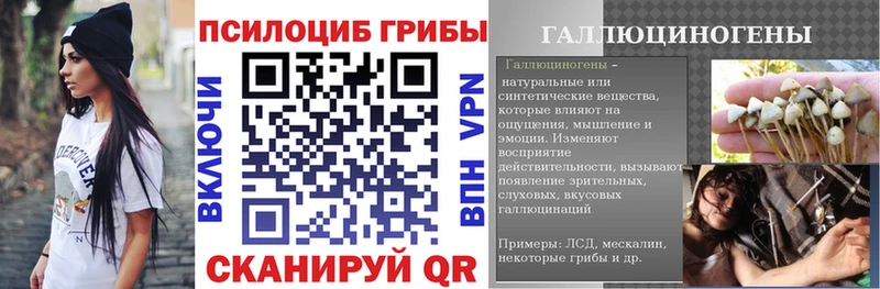 Купить  Любим  Псилоцибиновые грибы мухоморы 